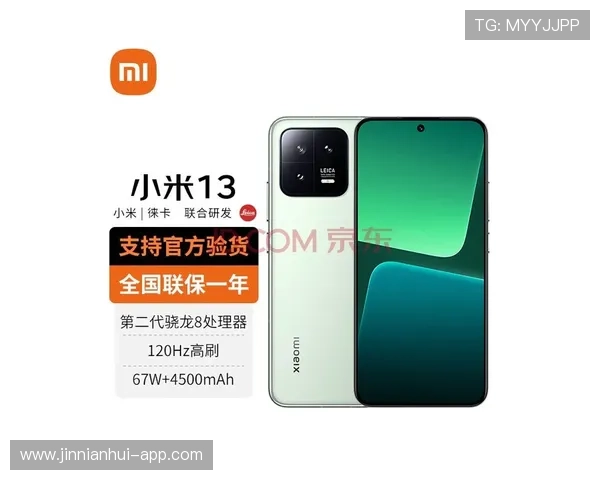 布莱顿官网全面解析最新资讯与球队动态指南