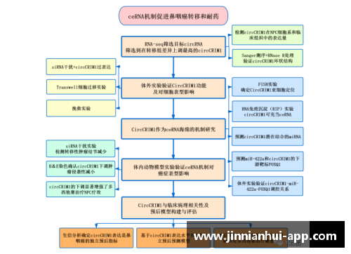 球员表现与胜场关系预测：新方法探索